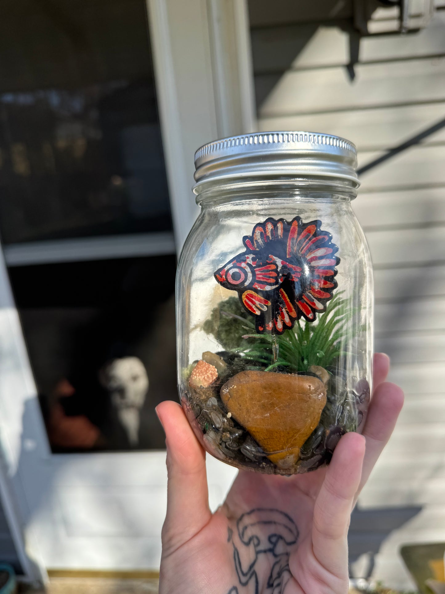 koi betta jar