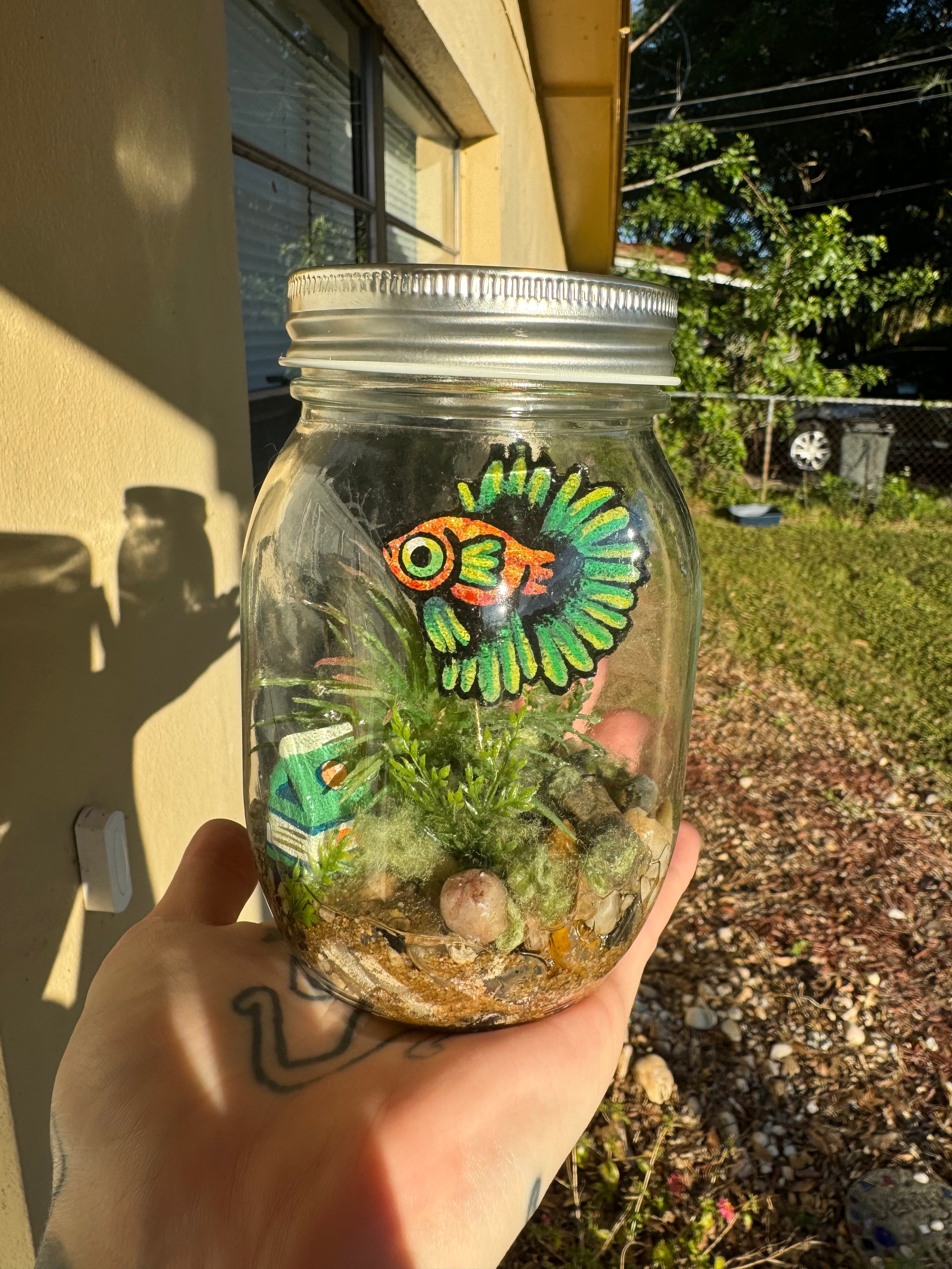 Mason Jar Betta Fish Aquarium Fish Bowls 2-Gallon Glass Betta Bowl