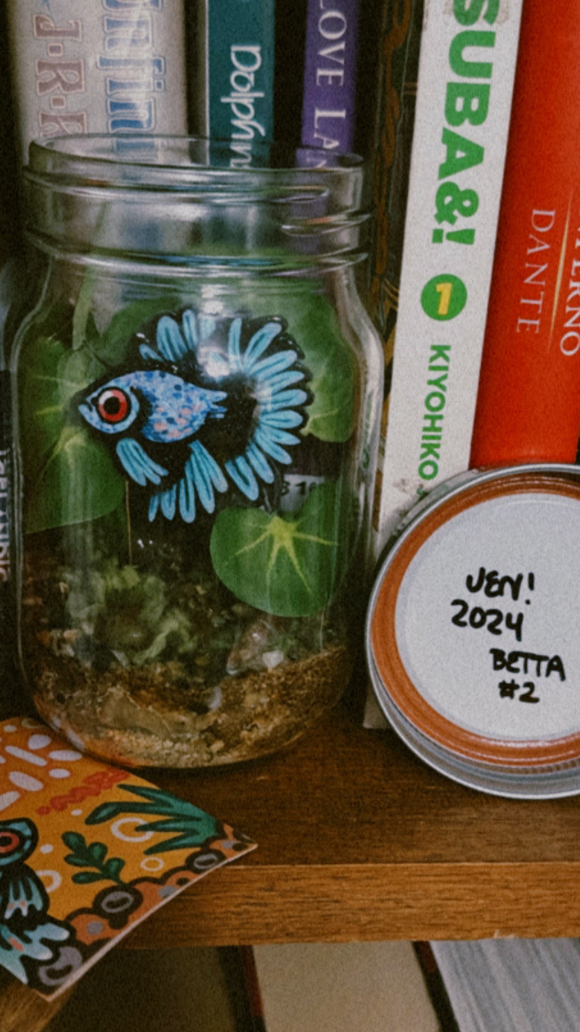 BETTA JARS!