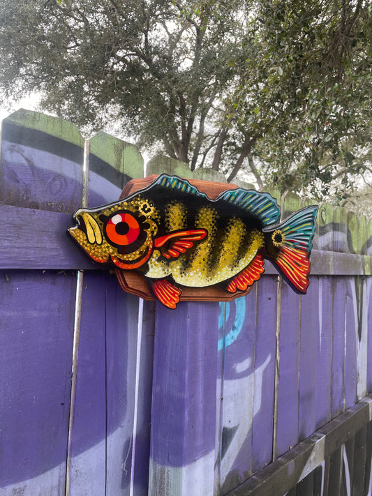 Peacock Bass