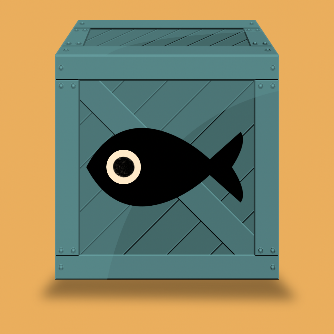 Mystery Fish Box!-large