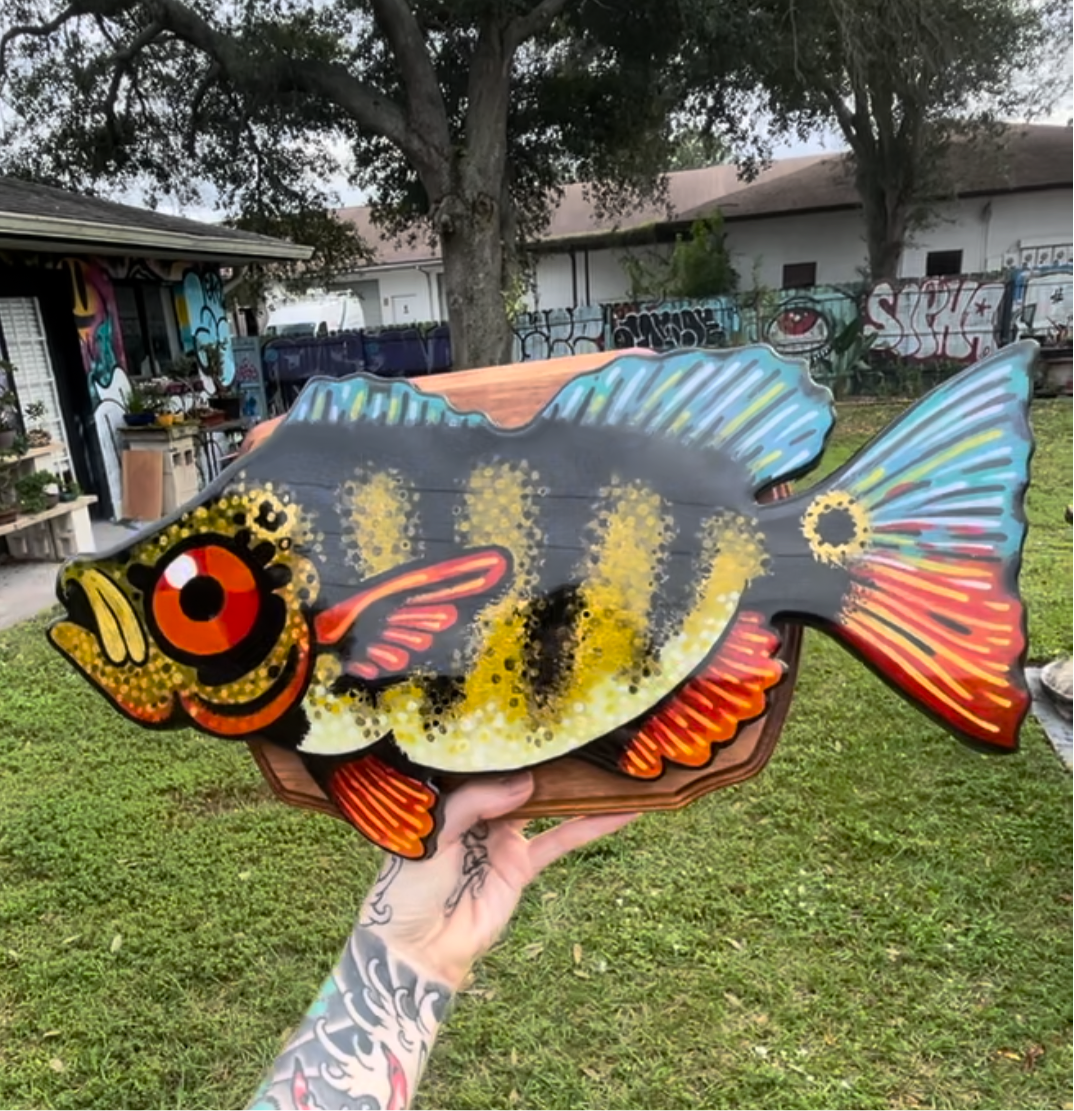 Mystery Fish Box!-large