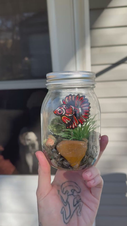 koi betta jar